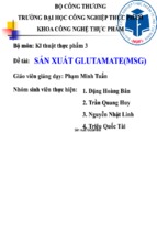 Tiểu luận sản xuất glutamat