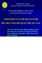 Khóa luận ảnh hưởng của chế độ sấy sơ bộ đến khả năng bảo quản thịt quả gấc