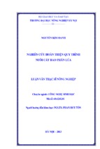 Luận văn Nghiên cứu hoàn thiện quy trình nuôi cấy bao phấn lúa