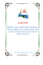 Đề tài Đặc điểm hình thành và phát triển của ngành tiểu thủ công nghiệp sản xuất gốm sứ Bình Dương