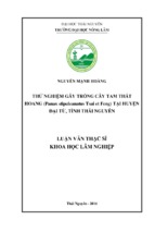 Thử nghiệm gây trồng cây tam thất hoang (panax stipuleanatus tsai et feng) tại huyện đại từ tỉnh thái nguyên