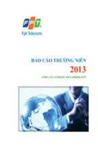 Bao cao thuong nien fpt telecom 2013