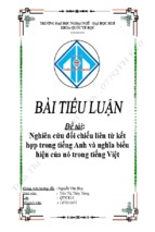 Đề tài:Nghiên cứu đối chiếu liên từ kết hợp trong tiếng Anh và nghĩa biểu hiện của nó trong tiếng Việt