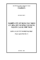 Nghiên cứu sử dụng tác nhân lý   hóa để tái sinh, tận dụng nguồn cao su phế thải