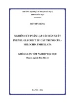 Nghiên cứu phân lập các dẫn xuất phenyl glycosit từ cây trứng cua   melochia umbellata