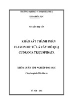 Khảo sát thành phần flavonoid từ lá cây mỏ quạ cudrania tricuspidata