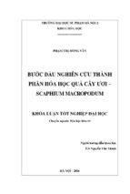 Bước đầu nghiên cứu thành phần hóa học quả cây ươi – scaphium macropodum