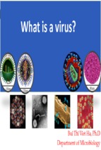 1.what is a virus