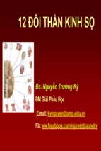 12 đôi thần kinh sọ