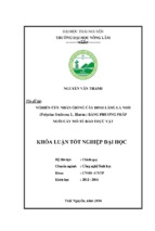 Nghiên cứu nhân giống cây đinh lăng lá nhỏ polycias fruticosa l. harm. bằng phương pháp nuôi cấy mô tế bào thực vật