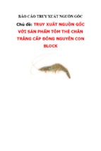 Báo cáo truy xuất nguồn gốc thực phẩm: TRUY XUẤT NGUỒN GỐC VỚI SẢN PHẨM TÔM THẺ CHÂN TRẮNG CẤP ĐÔNG NGUYÊN CON BLOCK