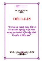 Cơ hội và thách thức đối với các doanh nghiệp Việt Nam trong quá trình hội nhập kinh tế quốc tế hiện nay