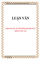 Luận văn khảo sát yếu tố ảnh hưởng đến hiệu suất trích ly dầu gấc