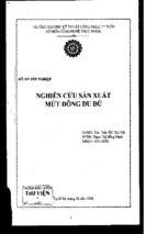 đồ án nghiên cứu sản xuất mứt đông đu đủ