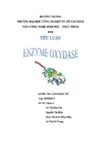 Tiểu luận enzyme oxydase