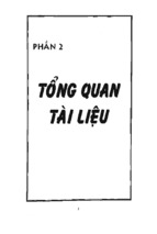 Luận văn nghiên cứu đặc tính của enzym chitinase thunhaanj từ nấm và nấm mật coprinus fimentaius và một số ứng dụng