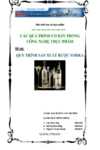 đề tài quy trình sản xuất rượu vodka