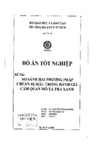 đồ án so sánh hai phương pháp chuẩn bị mẫu trong đánh giá cảm quan mô tả trà xanh