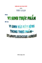 đề tài vi sinh vật gây bệnh trong thực phẩm   staphylococcus aureus