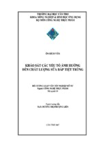 Luận văn khảo sát các yếu tố ảnh hưởng đến chất lượng sữa bắp tiệt trùng