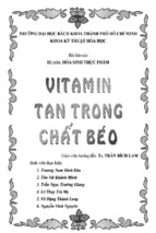 đề tài vitamin trong chất béo