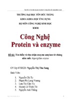 đề tài tìm hiểu và thu nhận enzyme amylase từ chủng nấm mốc aspergillus oryzae