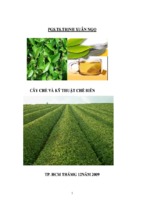Nghiên cứu quy trình trồng, thu hoạch và công nghệ chế biến, bảo quản một số loại chè (trà) quý