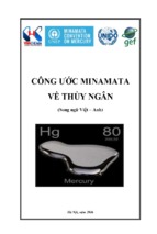 CÔNG ƯỚC MINAMATA VỀ THỦY NGÂN