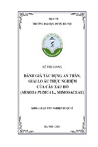 đánh giá tác dụng an thần, giải lo âu thực nghiệm của cây xấu hổ (mimosa pudica l., mimosaceae)