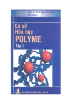 Cơ sở hóa học polyme