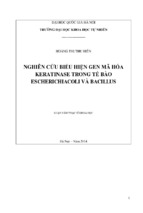 Nghiên cứu biểu hiện gen mã hóa keratinase trong tế bào escherichiacoli và bacillus