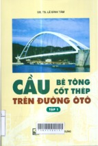 Cầu btct trên đường ô tô tập 1