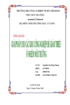 Tiểu luận giải pháp cho các khu công nghiệp để giảm thiểu ô nhiễm môi trường