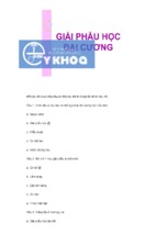 Câu hỏi trắc nghiệm và đáp án chương chương đại cương