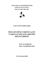 Luận văn phân lập chủng vi khuẩn lactic và khảo sát khả năng sinh tổng hợp bacteriocin