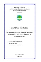 Khóa luận thử nghiệm bổ sung chế phẩm sinh học trong mô hình xử lý nước thải chăn nuôi của trại heo đồng hiệp