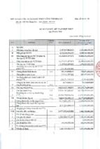 Báo cáo tài chính ngân hàng thương mại cổ phần công thương việt nam 2010_q2_hopnhat