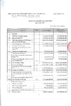Báo cáo tài chính ngân hàng thương mại cổ phần công thương việt nam 2010_q1_hopnhat