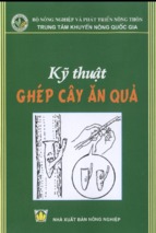 Kỹ thuật ghép cây ăn quả