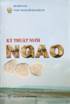 Kỹ thuật nuôi ngao