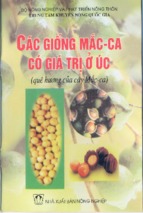 Các giống mắc ca có giá trị ở úc