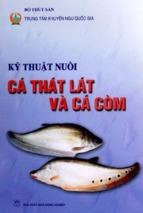 Kỹ thuật nuôi cá thát lát và cá còm