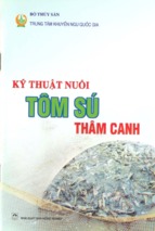 Kỹ thuật nuôi tôm sú thâm canh