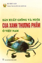 Sản xuất giống và nuôi cua xanh thương phẩm ở việt nam