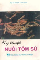 Kỹ thuật nuôi tôm sú