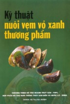 Kỹ thuật nuôi vẹm vỏ xanh thương phẩm