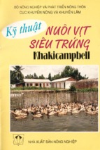 Kỹ thuật nuôi vịt siêu trứng khakicampbell