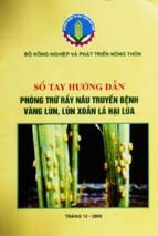 Sổ tay hướng dẫn phòng trừ rầy nâu truyền bệnh vàng lùn, lùn xoắn lá hại lúa