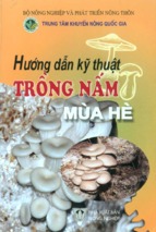 Hướng dẫn kỹ thuật trồng nấm mùa hè