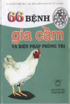 66 bệnh gia cầm và cách phòng trị